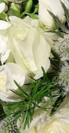 blanc et vert