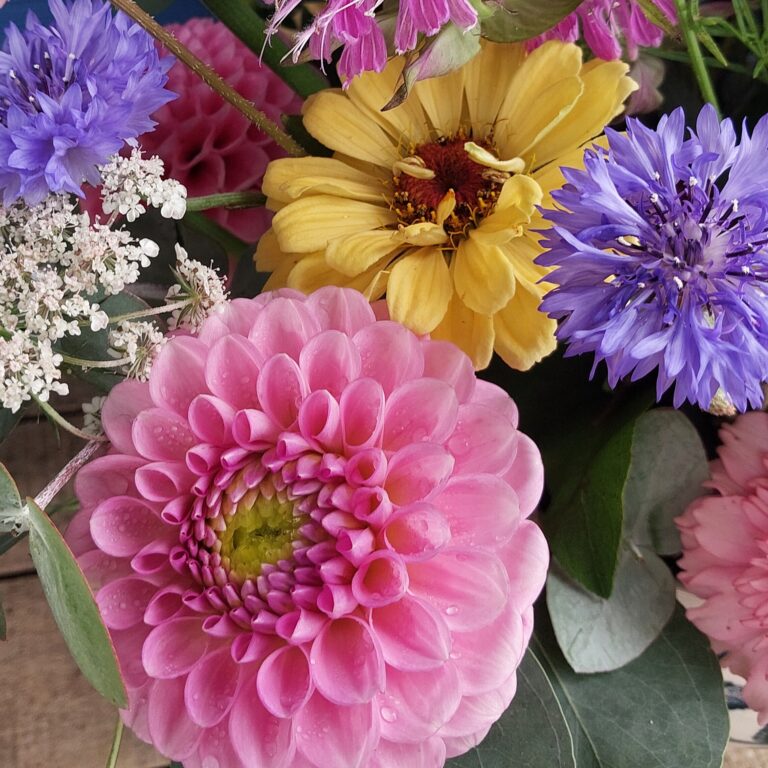 fleurs coupées