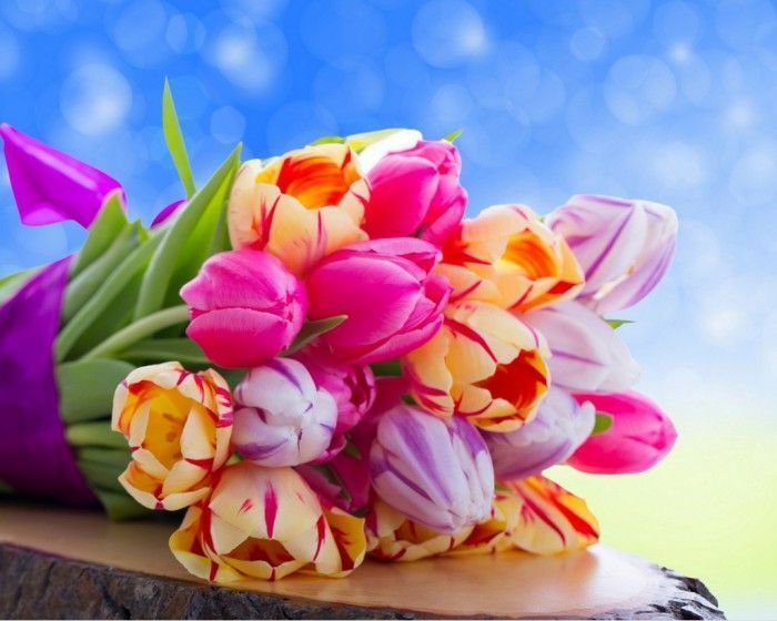 bouquet de tulipe