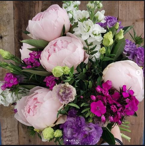 Pivoine fête des mamans